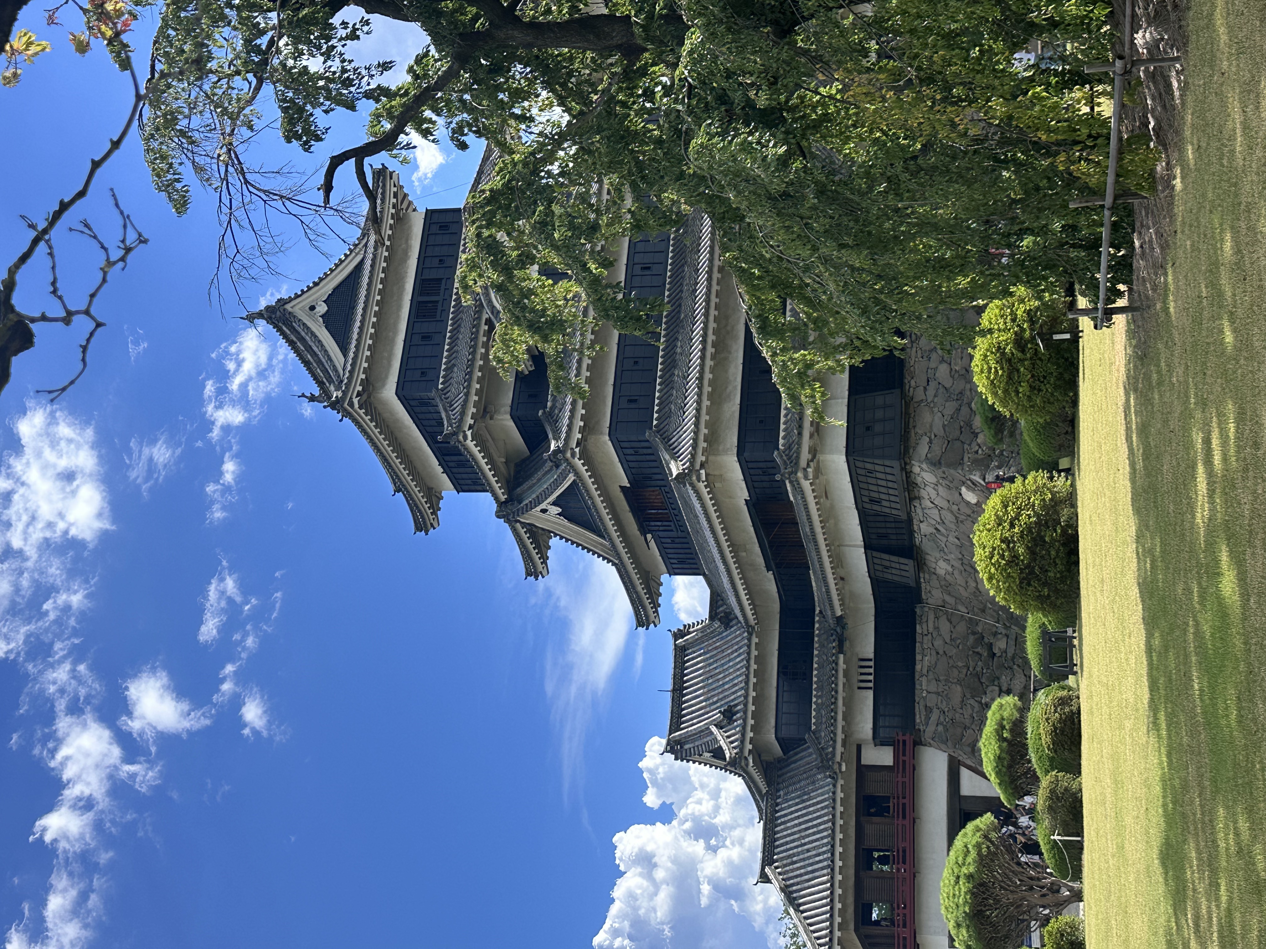 Matsumoto Castle framed by trees beneath a blue sky