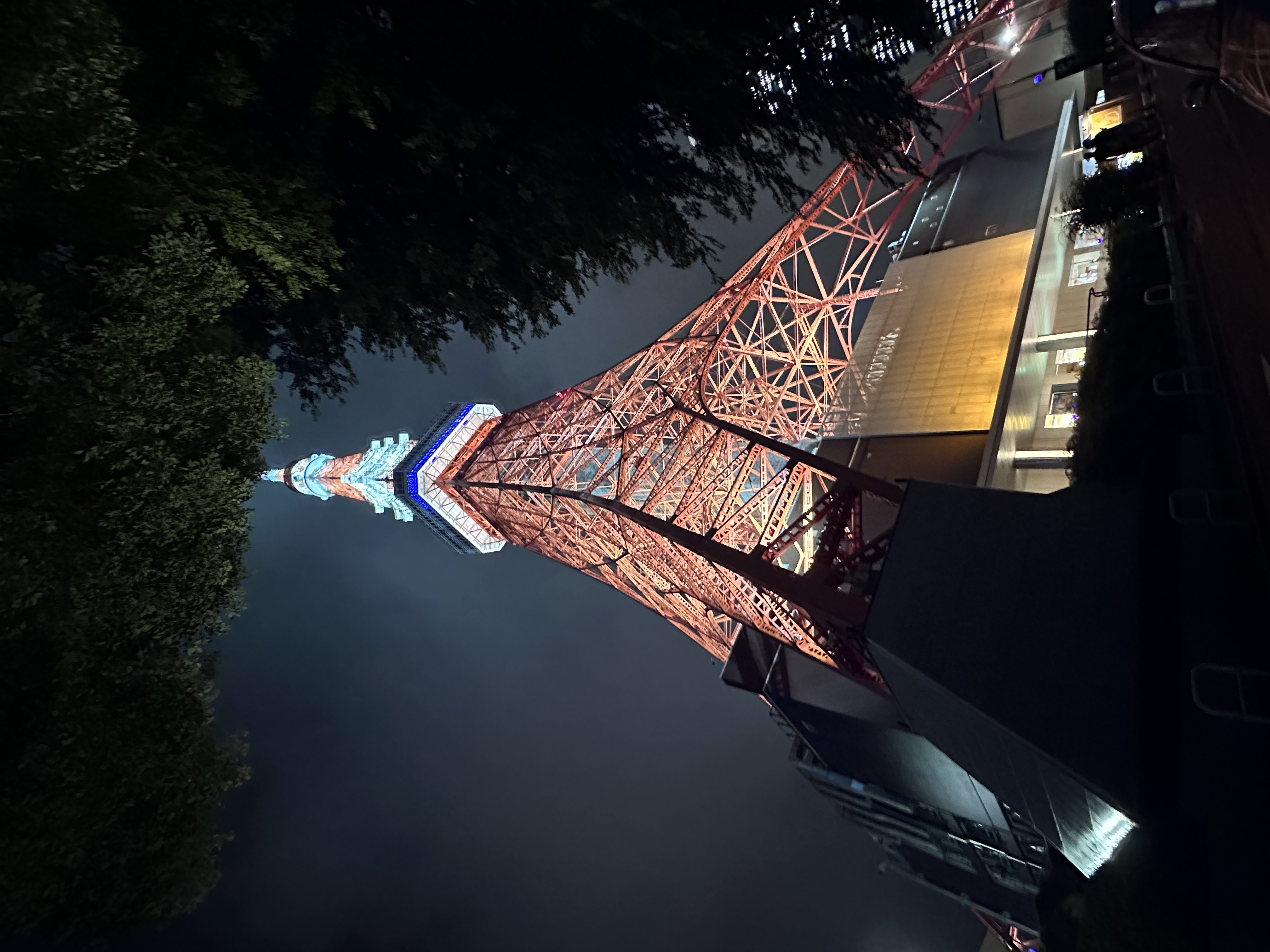 Tokyo Tower illuminated at night, framed by trees